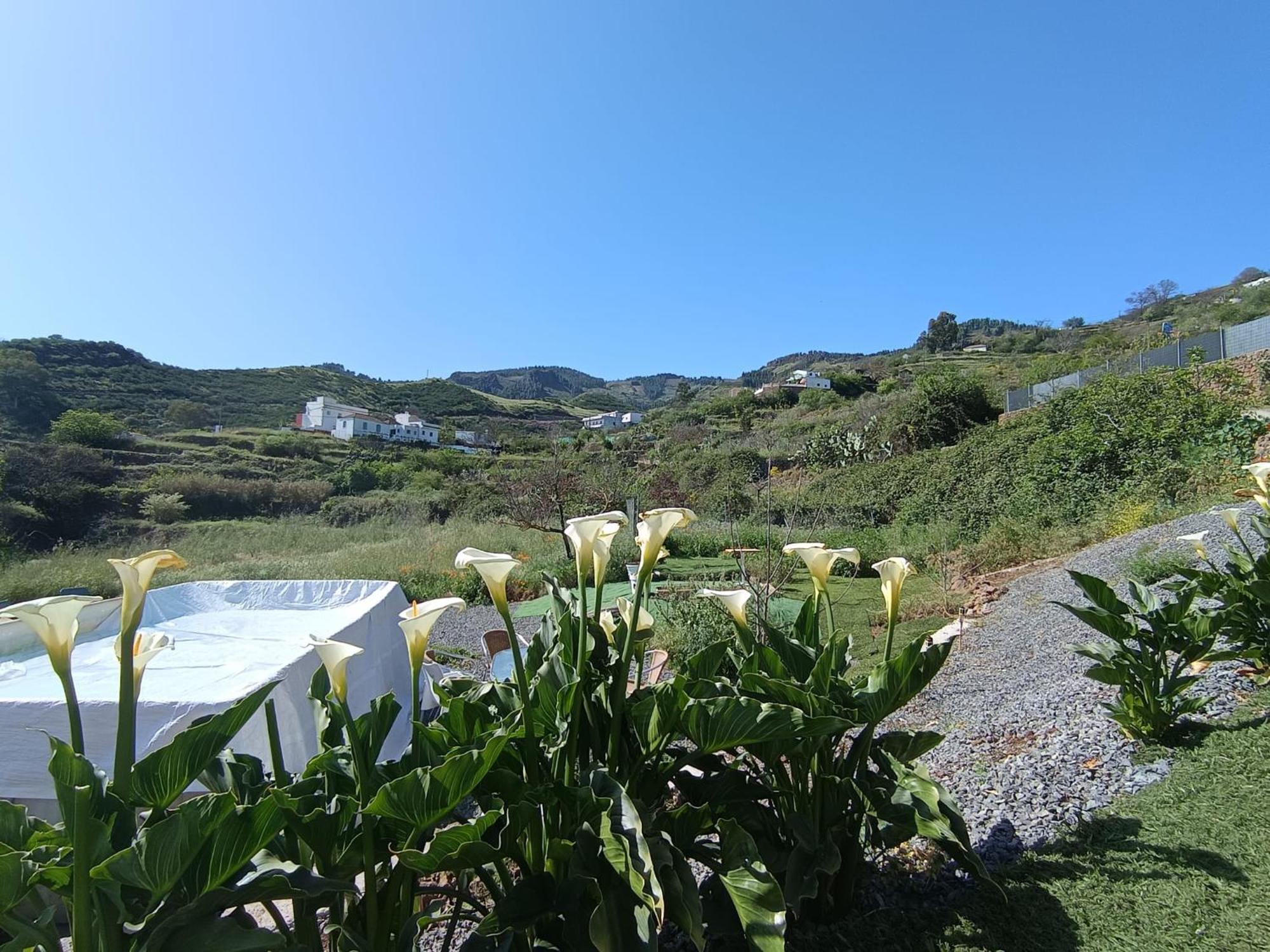 Vv Rural Finca Ecocielo Villa Vega de San Mateo Bagian luar foto